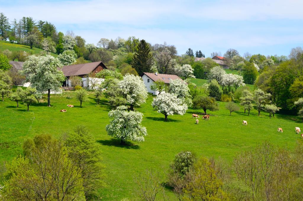 Ferienwohnung Vonwald Michelbach Extérieur photo